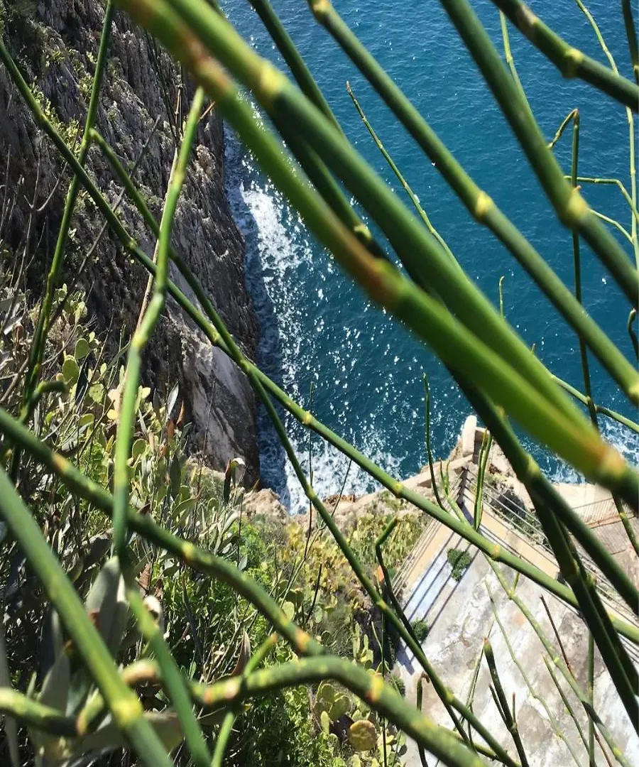 Villa Dei Tramonti テッラジーニ アパート